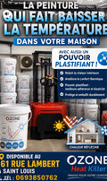 Peinture Réflective Ozone